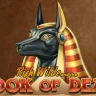 Book of Dead at Accessbet